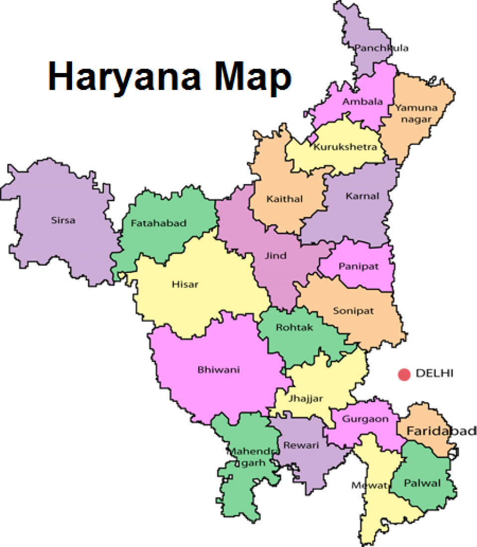 हिसार की पहलवान तनु ने बदला पदक का रंग