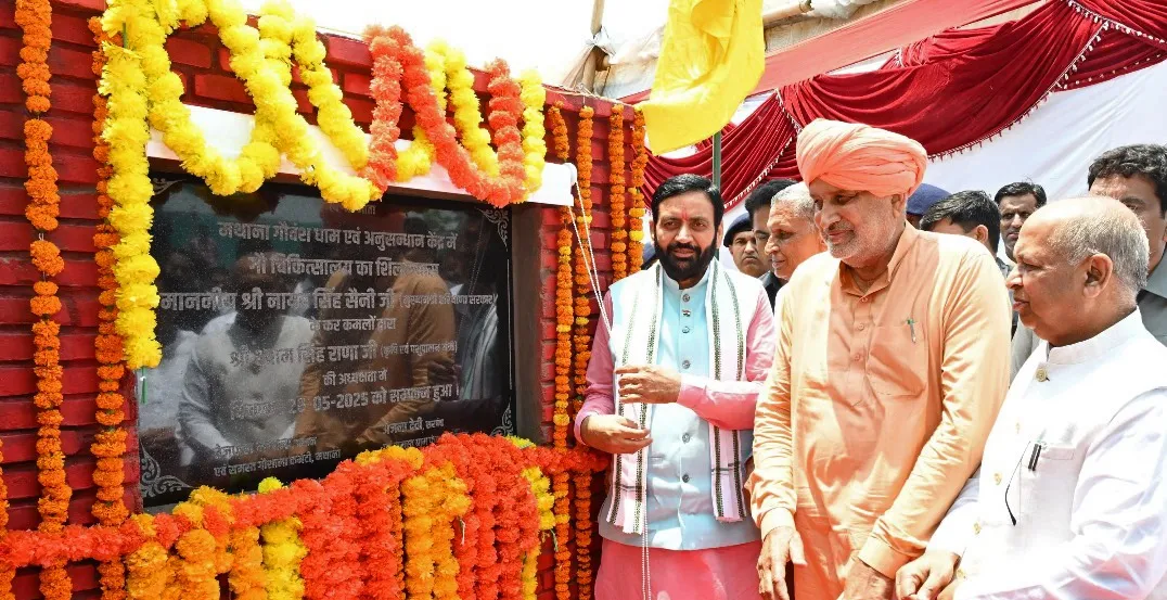 प्रदेश में बनेंगे तीन गौ-अभयारण्य, 'इन स्थानों' का किया चयन, सीएम ने कहा - अब सड़कों पर नहीं घूमेगा गौवंश