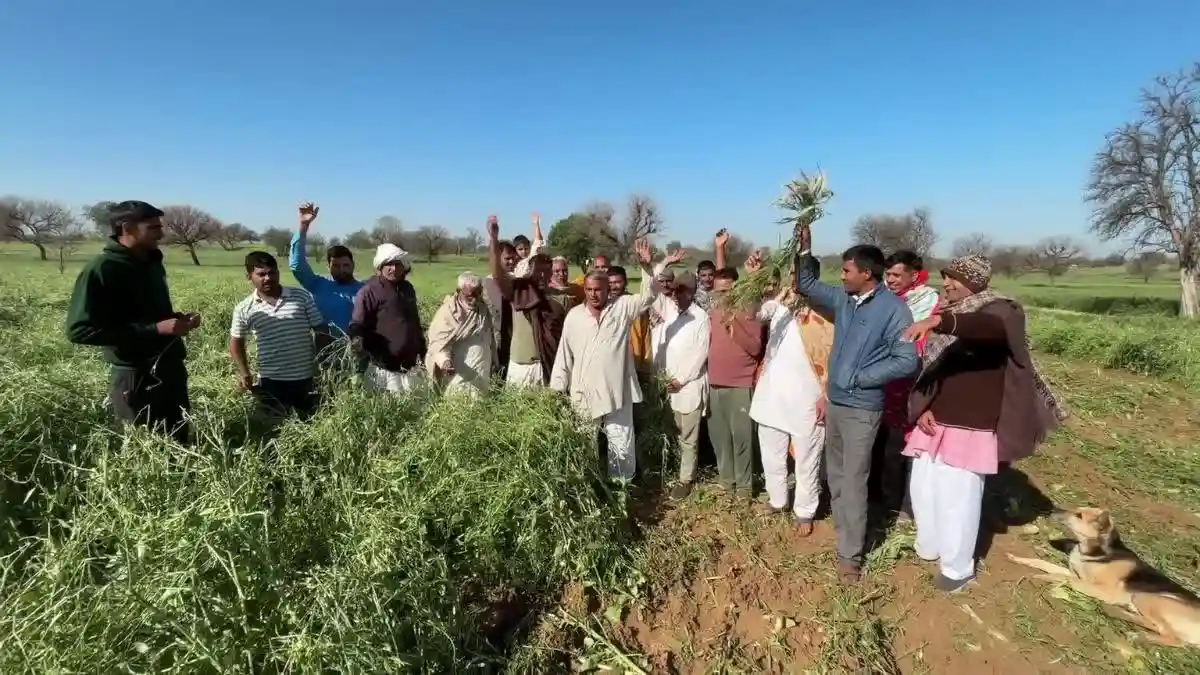 गुस्साए किसानों की सीएम सैनी को नसीहत- "5 किलो राशन लेकर 1 महीने करें परिवार का गुजारा''